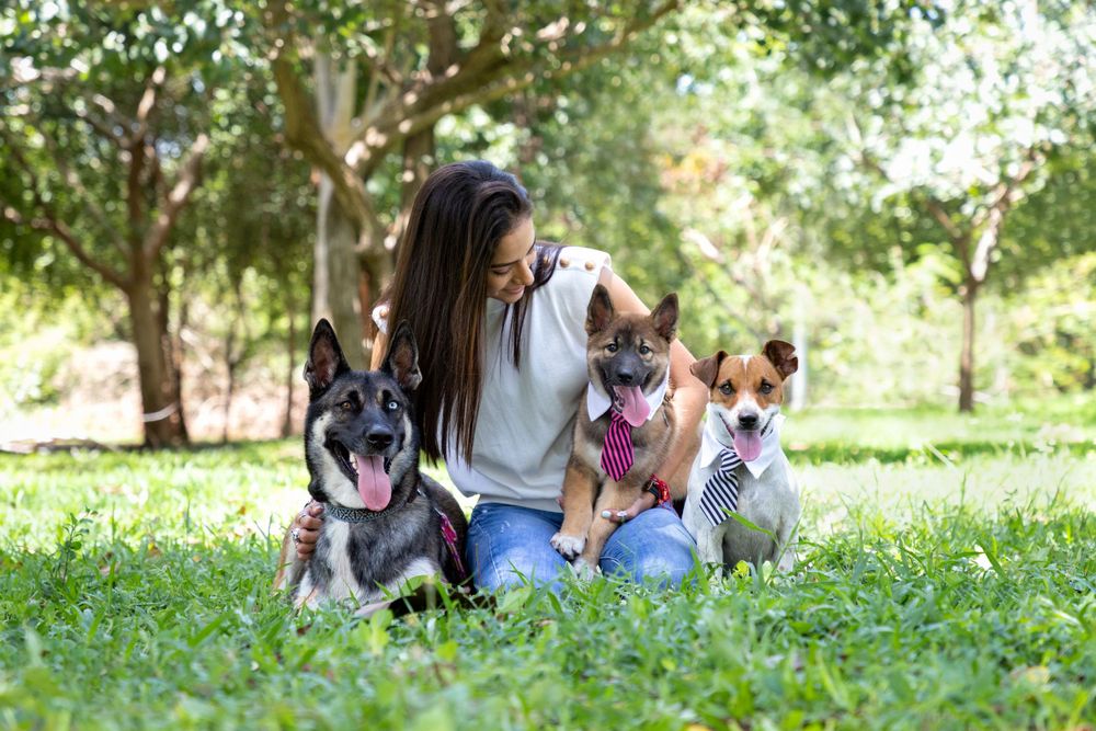 Fotografía canina