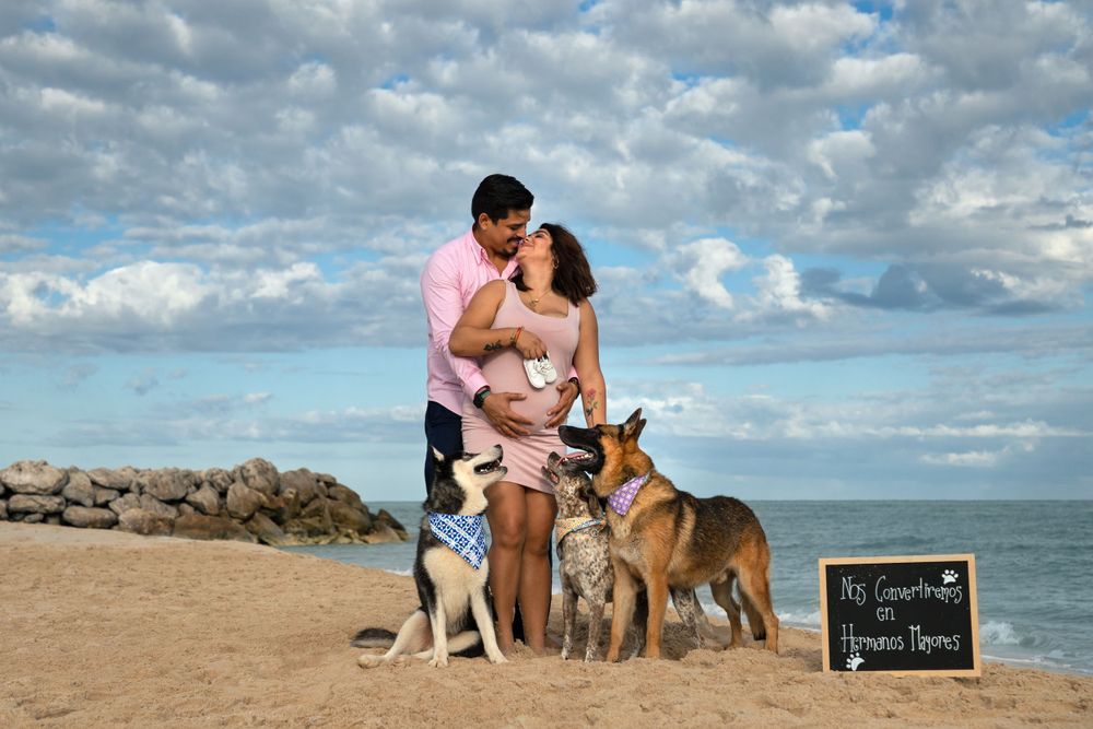 Fotografía canina profesional en exteriores