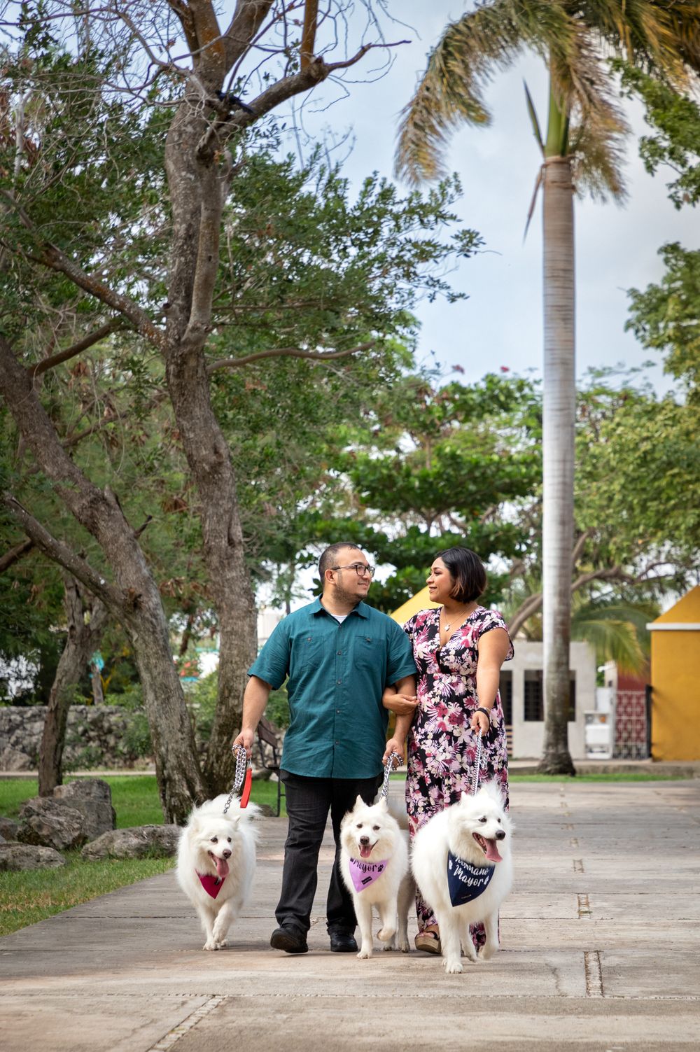 Fotografía canina