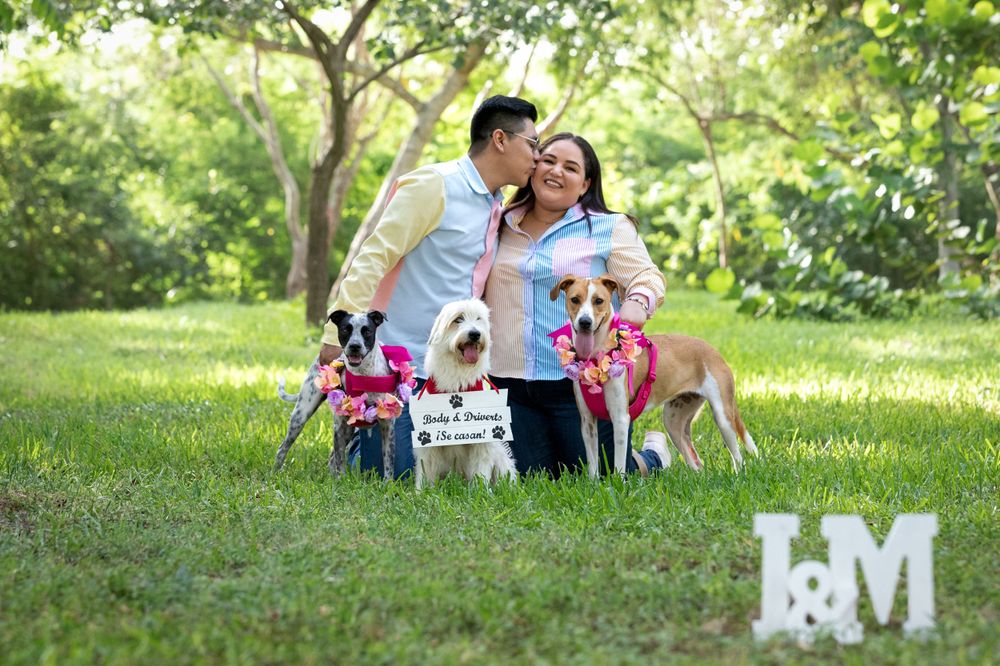 Fotografía canina