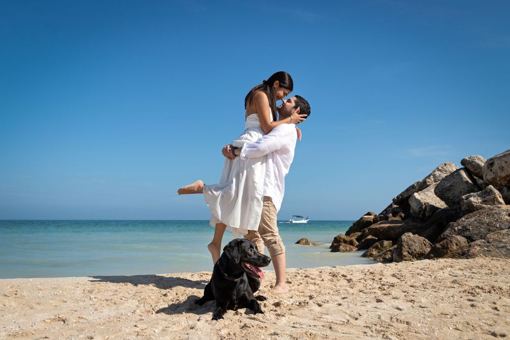 Fotografía canina profesional en exteriores