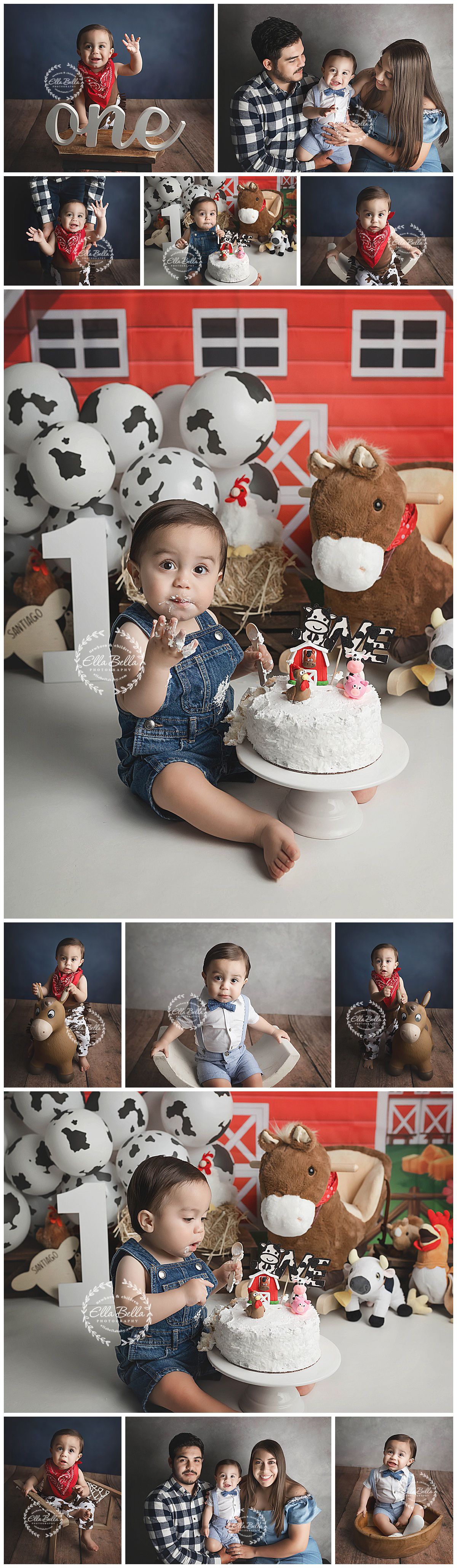 Farm themed first birthday photo collage with cow print balloons and rustic barn backdrop.