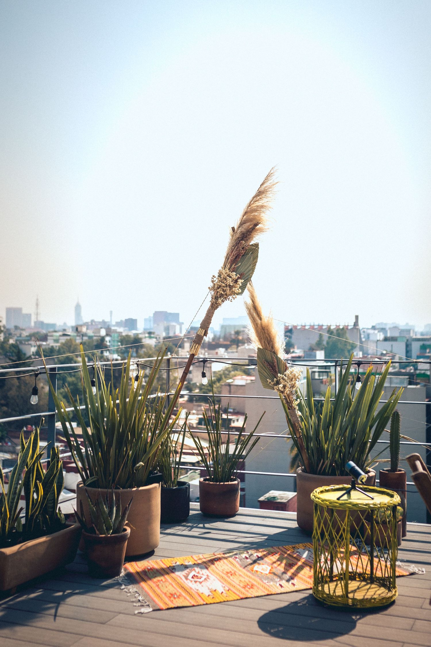 Rooftop terrace with succulent plants and orange rug against urban skyline.