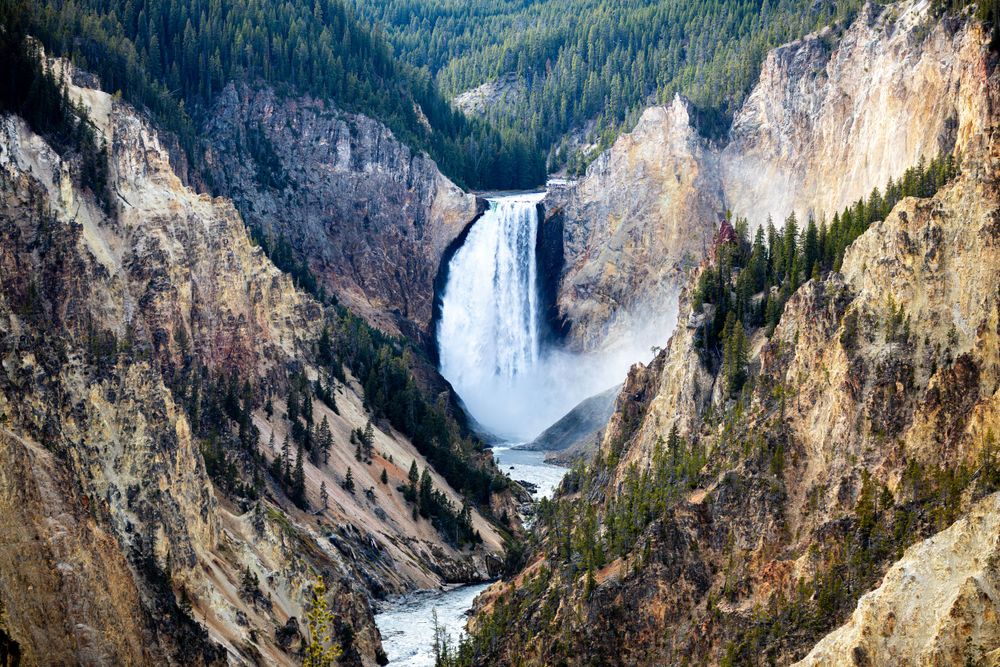 Majestic Lower Falls of Yellowstone cascades dramatically between towering rocky cliffs in a forested canyon.