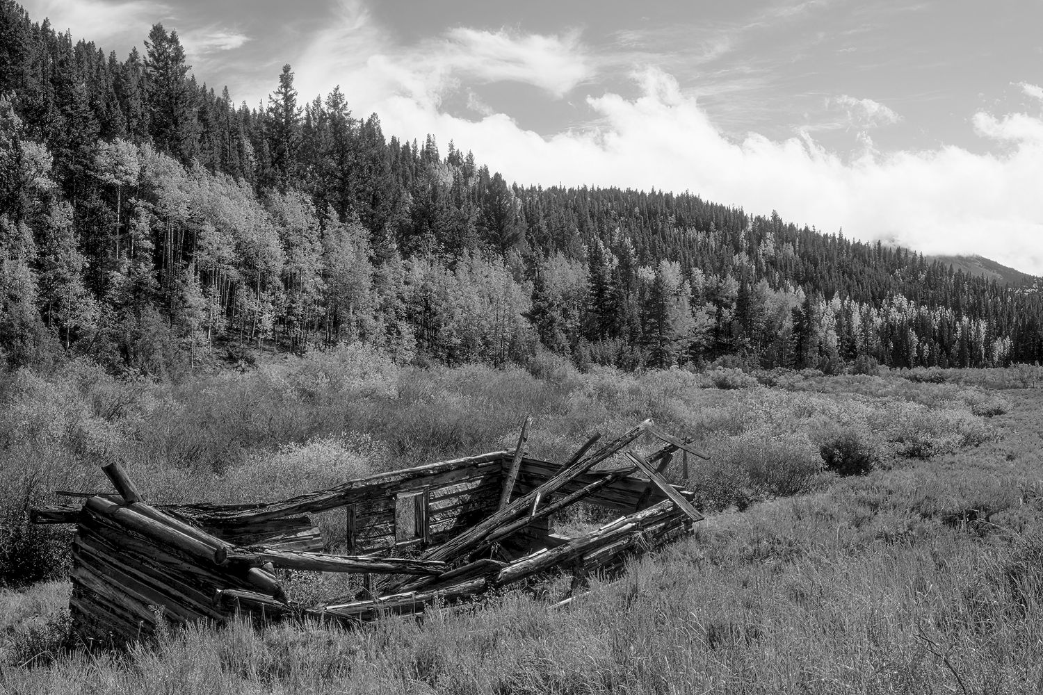 Bowerman, Colorado