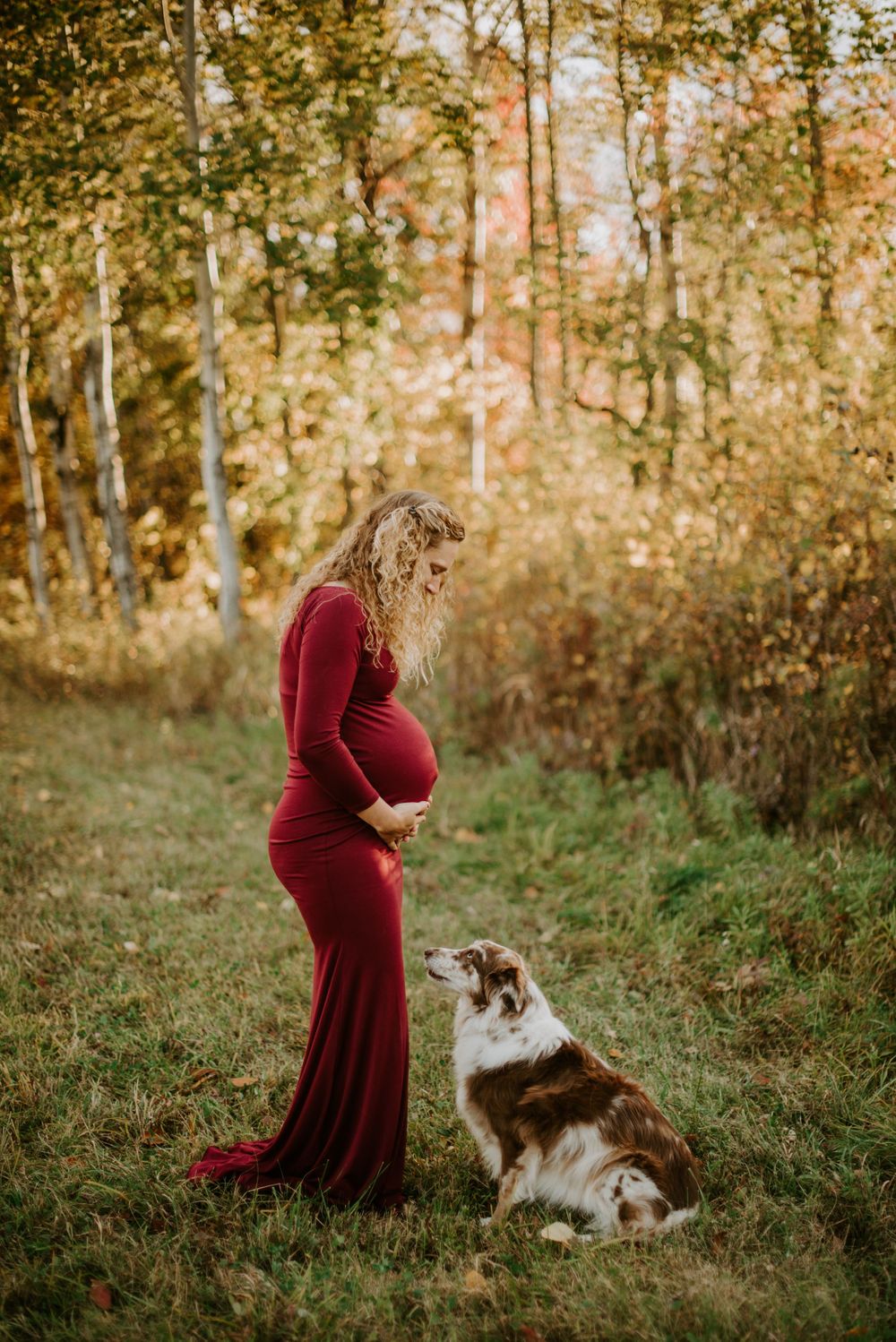 Pregnant woman in red gown with Australian Shepherd dog in colorful fall forest maternity shoot.