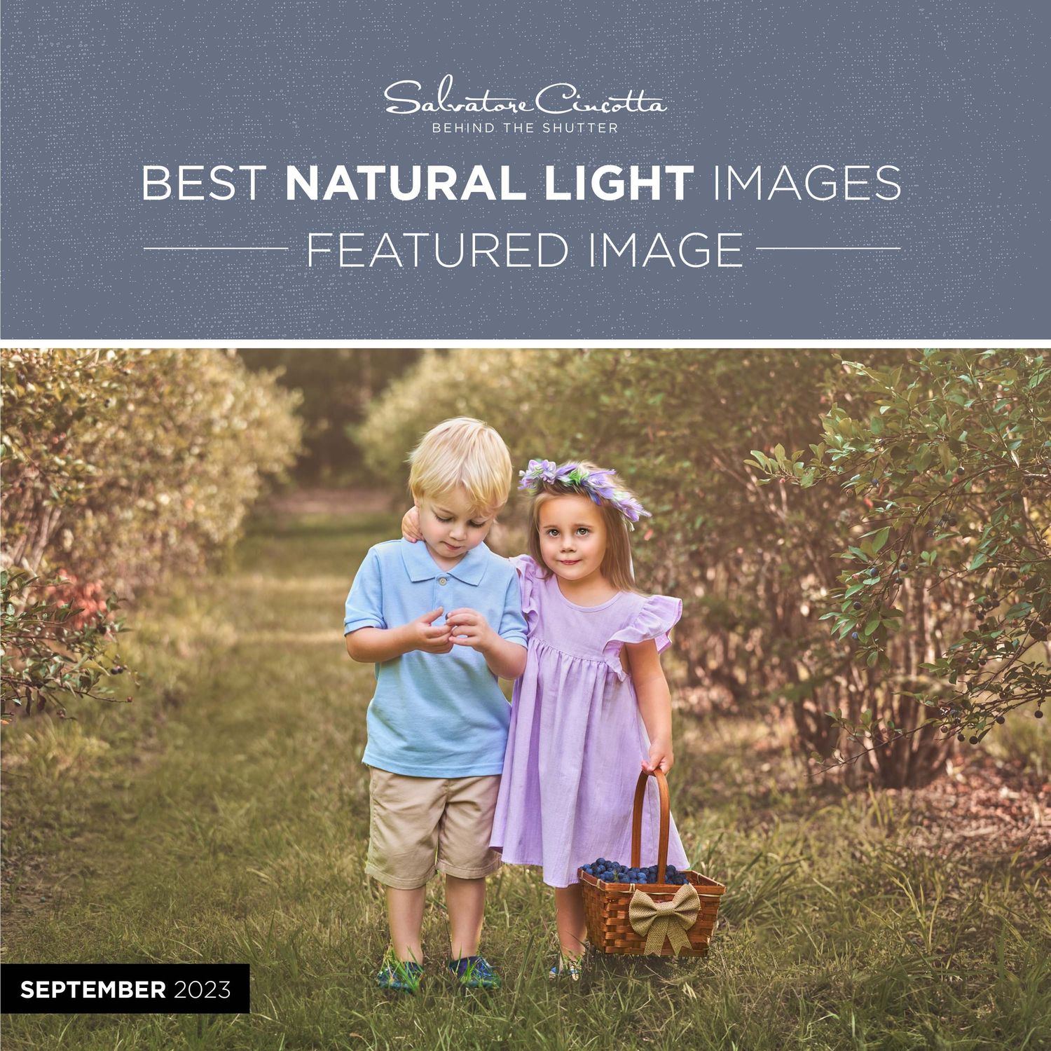 Toddler-girl-with-arm-around-toddler-boy-in-blueberry-field