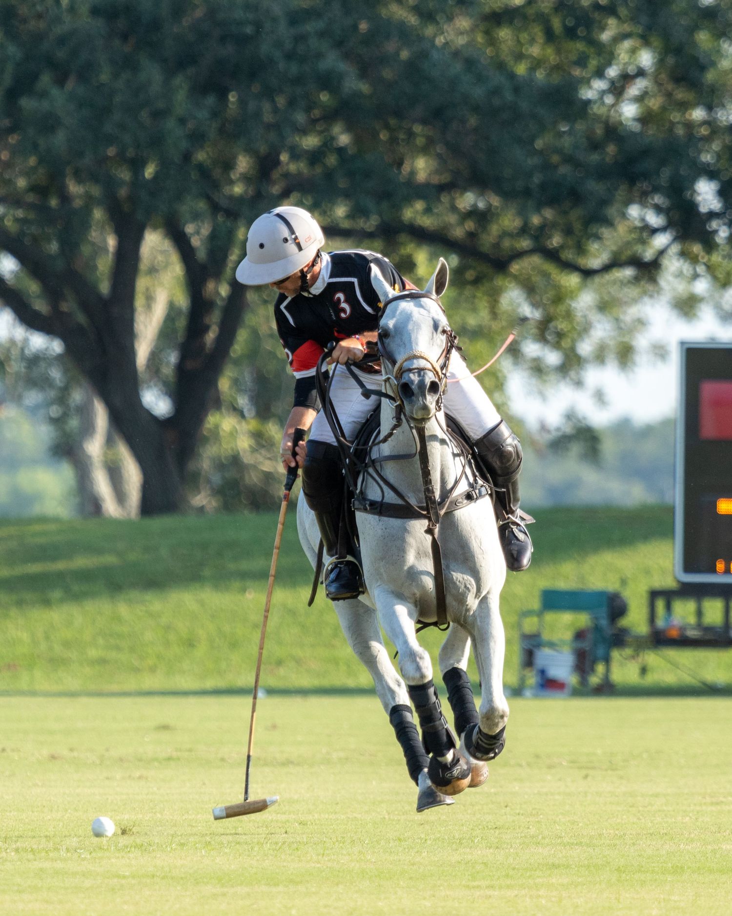 Polo