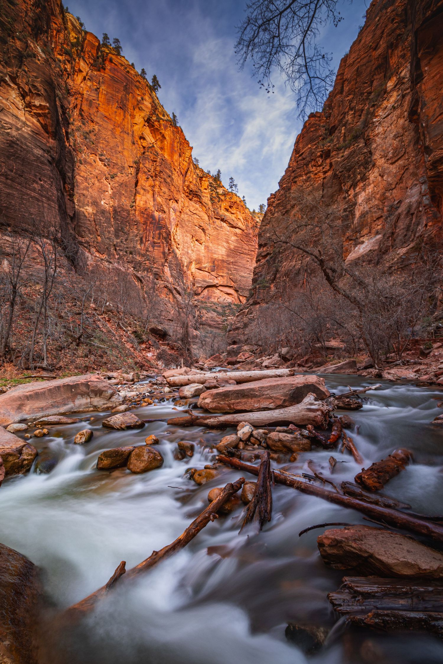 Rushing water flows through a narrow red rock canyon with dramatic sunlit walls and fallen logs.