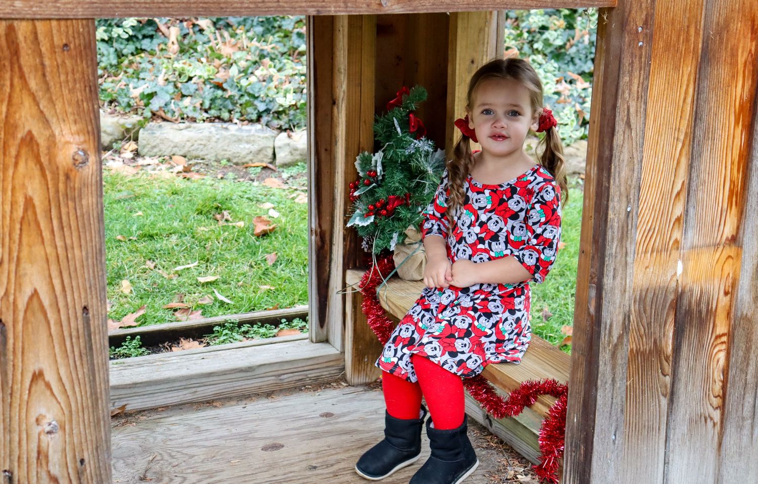 Christmas Mini Session