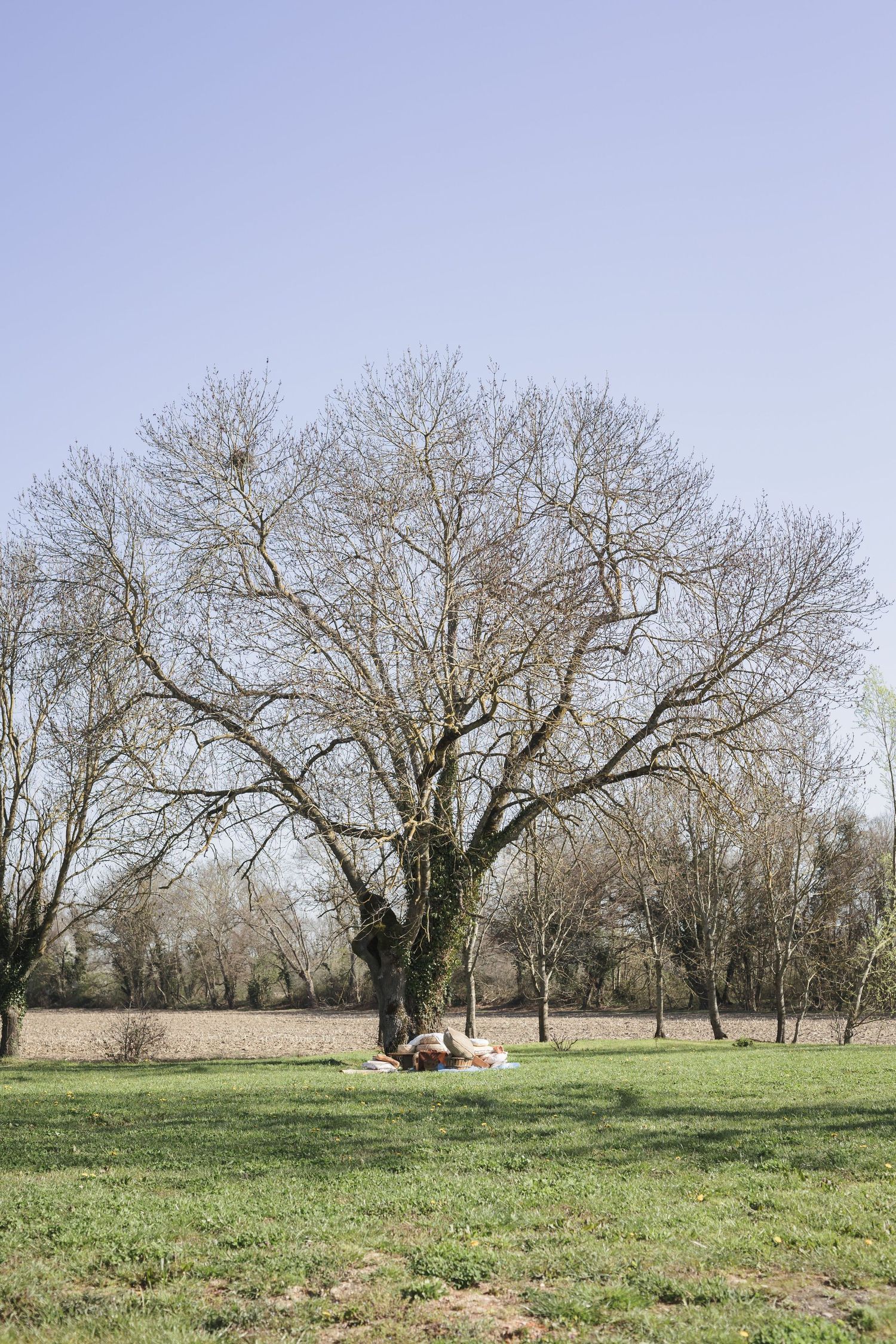photographe-mariage-lyon-le-charmay
