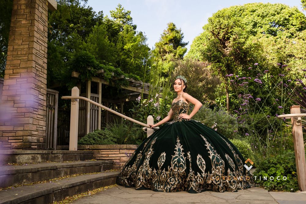 Black ball gown with metallic embroidery photographed on garden steps under stone archway.