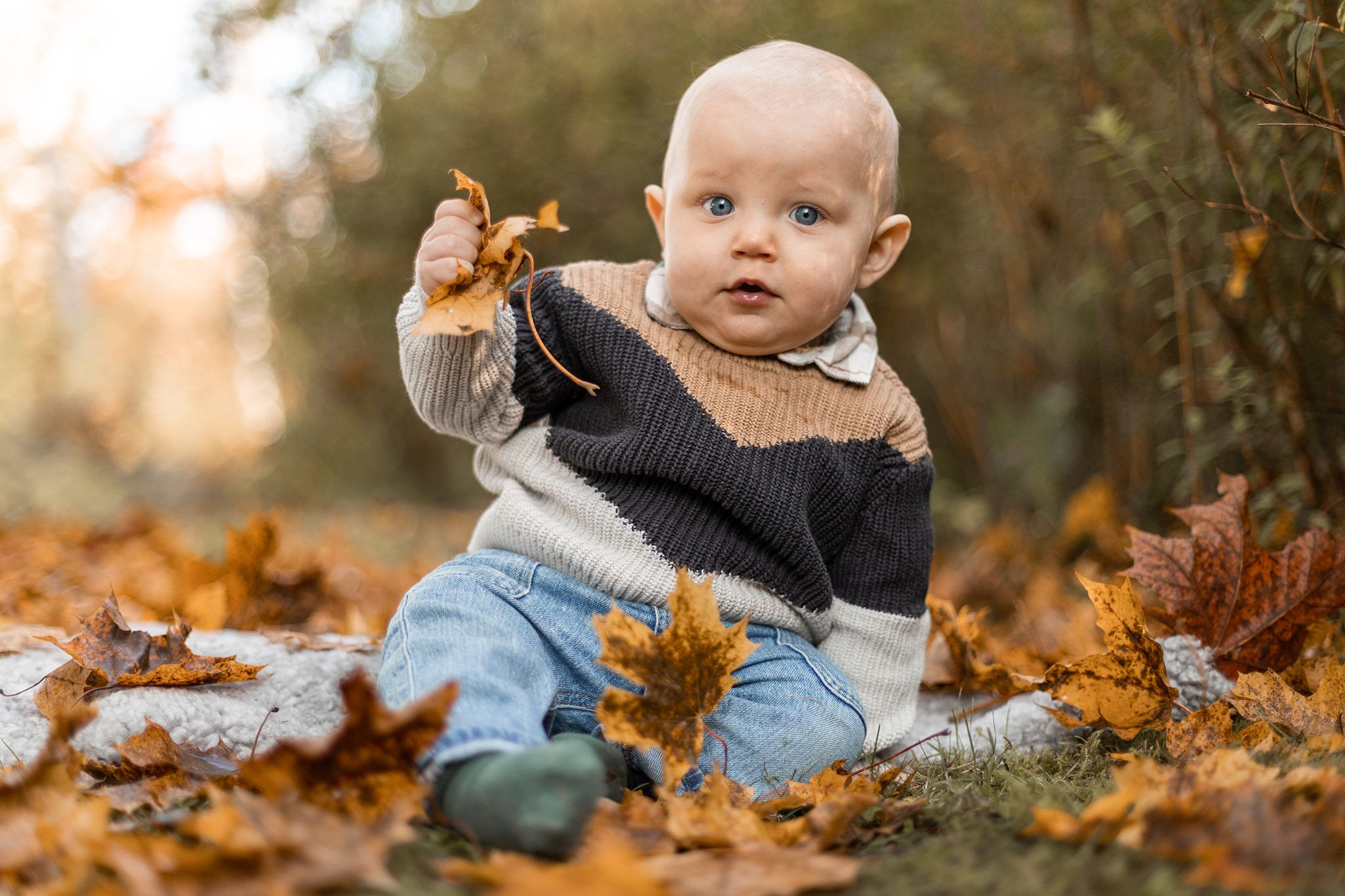 boy, child, pojke, barn, familjefotograf, fotograf, shellstromfoto