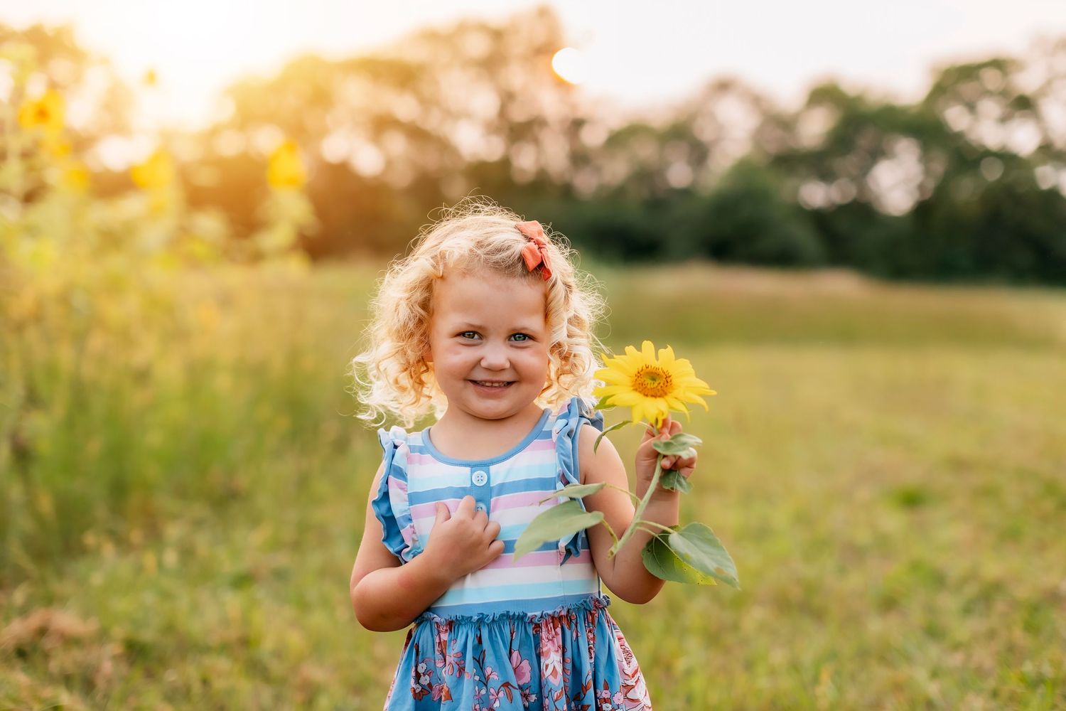 Child in blue dress holding bright yellow sunflower stands in sunny summer field at golden hour.