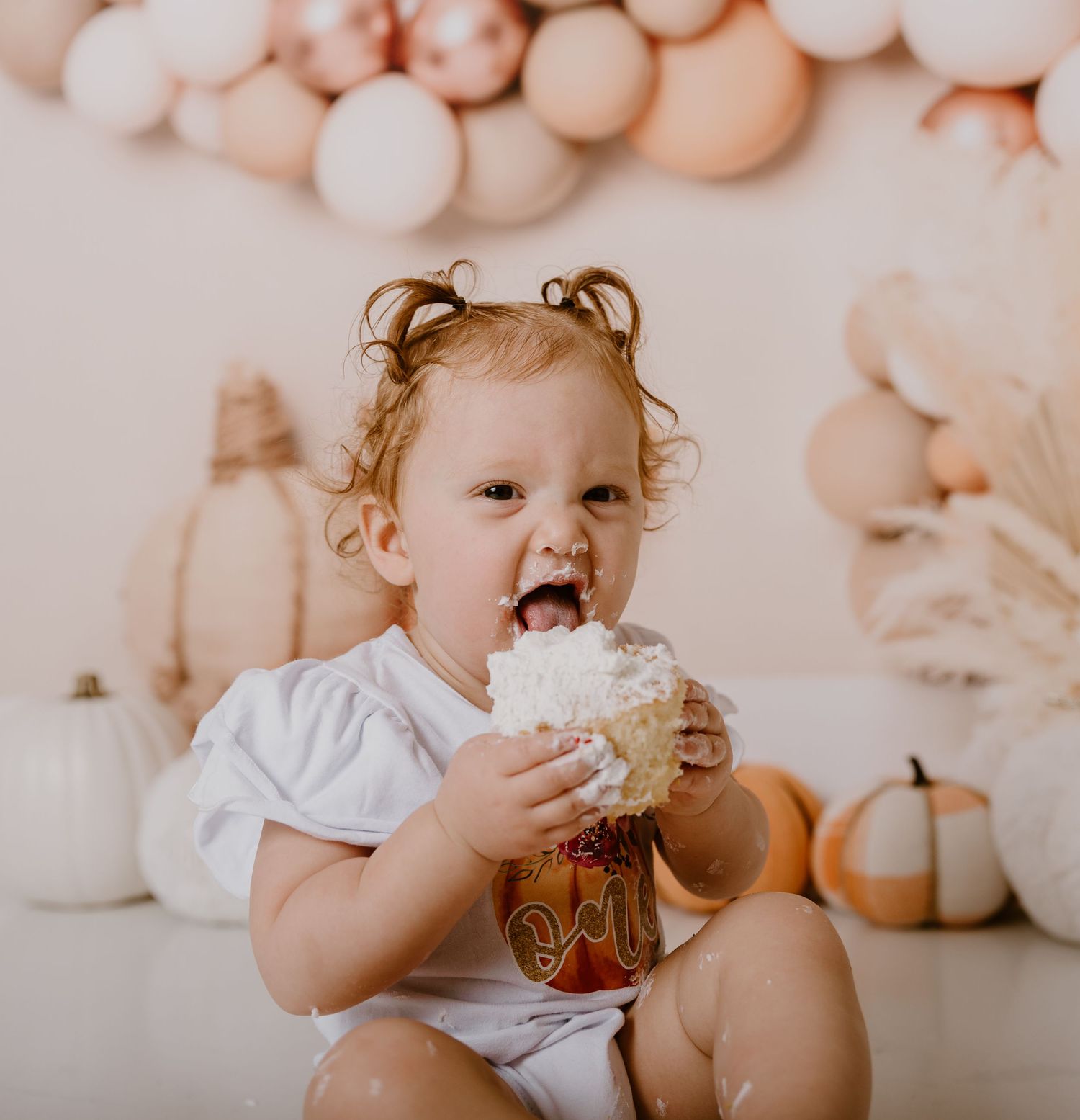 childrens photographer downriver Michigan Rockwood 48173 48183 cake smash
