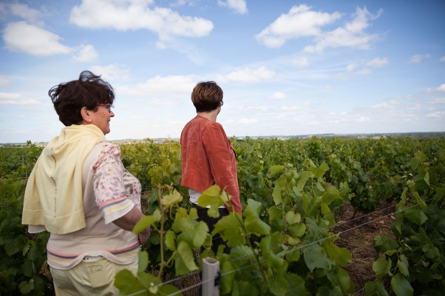 A la Table des Vignerons, éditions Hachette, AOP Morbier pour Marmiton, photos Le Studio by Panier de Saison