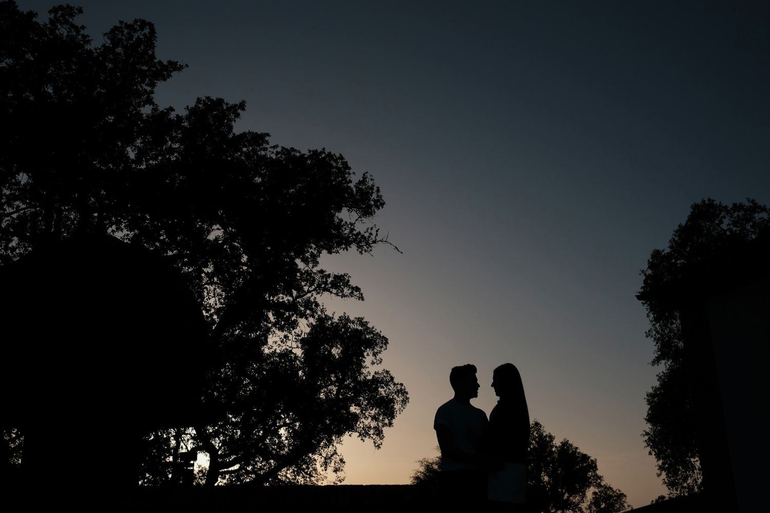 Dramatic silhouettes against sunset sky framed by dark trees.