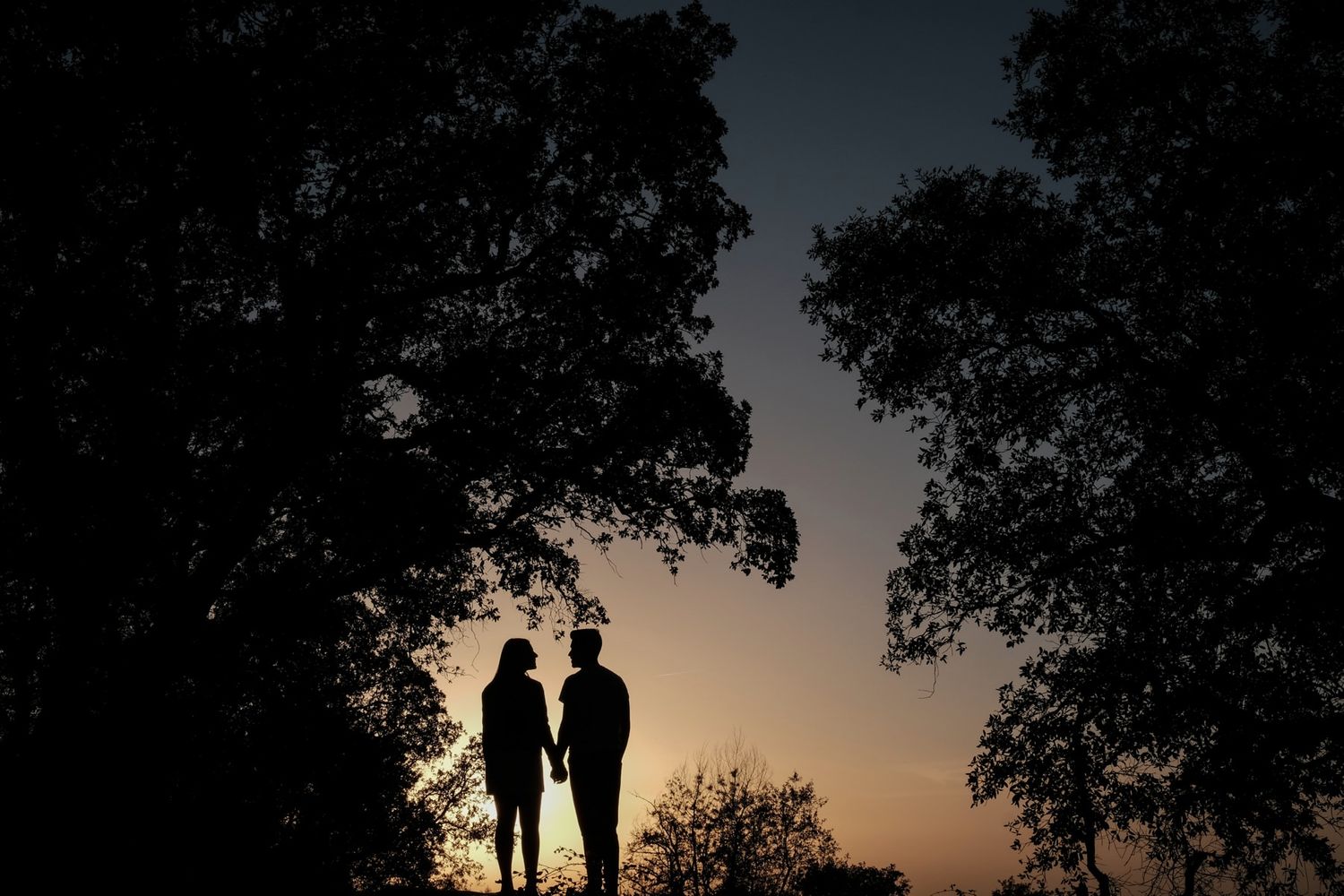 Silhouette of two people standing together against a sunset sky framed by trees.