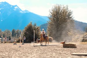 Golden Cowboy Challenge Photo Art