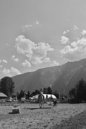 Mountain Cowboy Horse Rider Photo Art