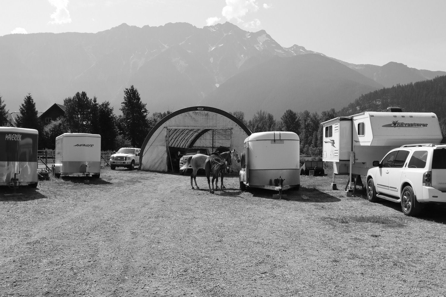 Horses and Trailer Adventure Horse Photo Art