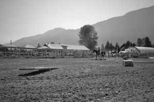 Horse Event Photo Art