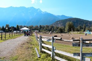 Horse Event Mountain Horses Photo Art