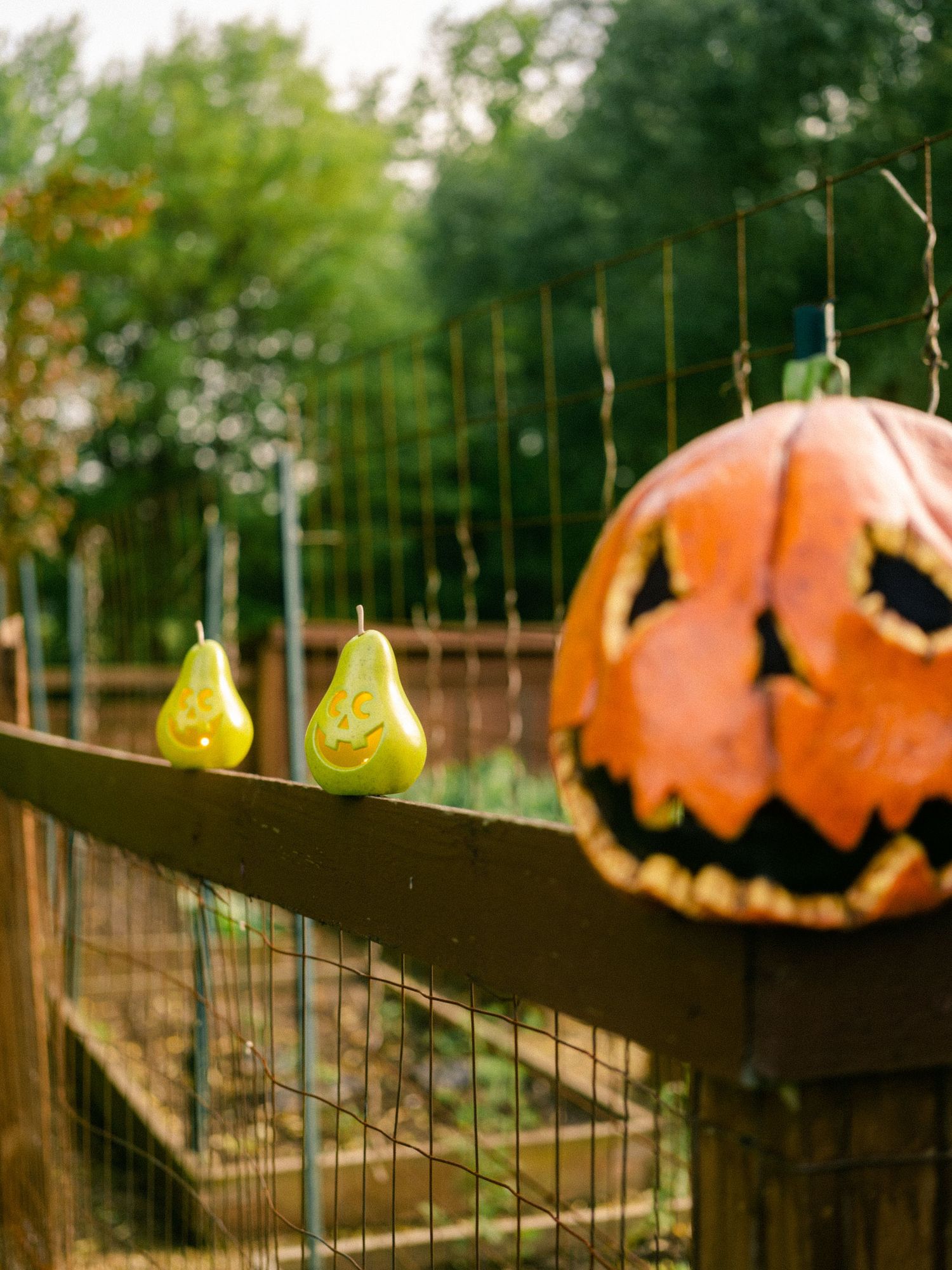 pumpkin on a fence