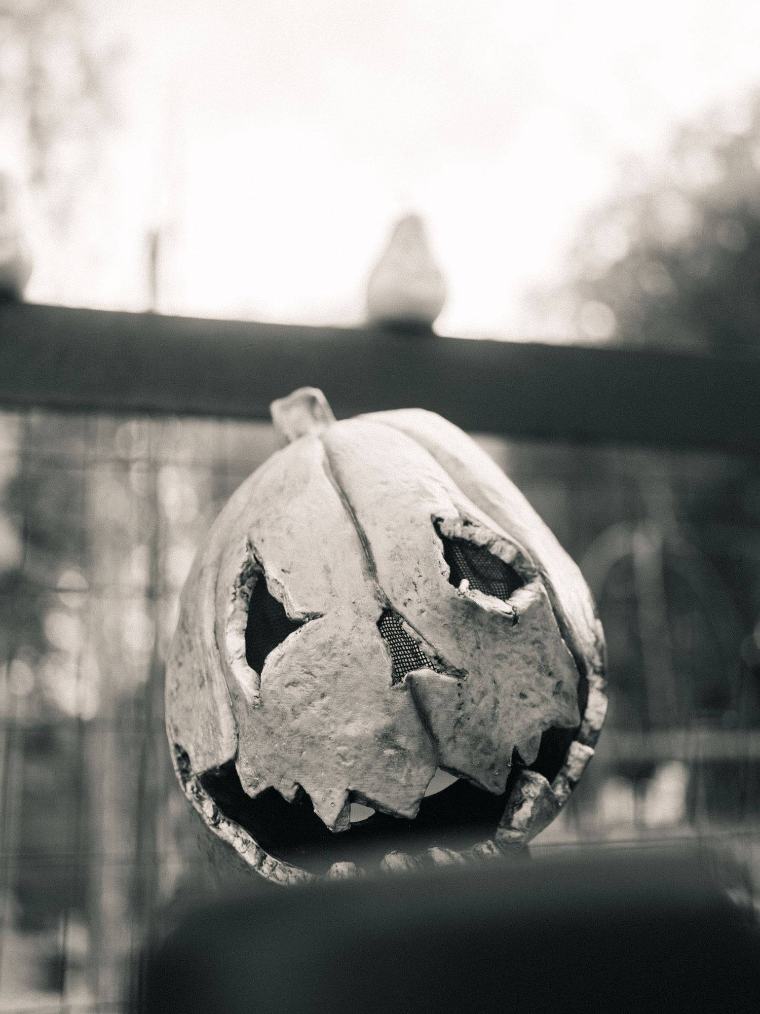 black and white pumpkin