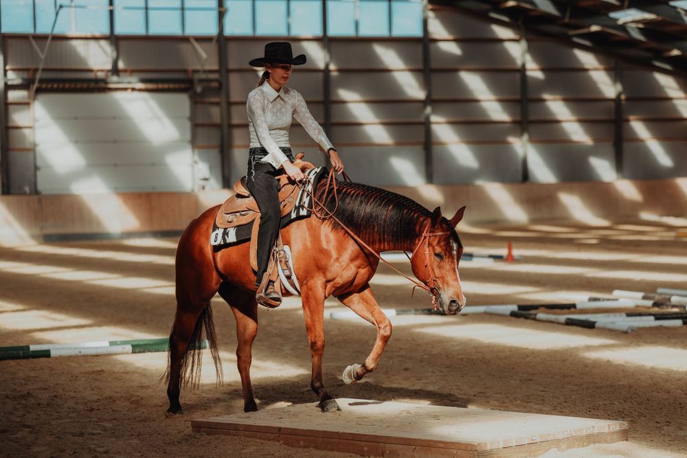 A chestnut horse and rider practicing in an indoor western arena with dramatic lighting.