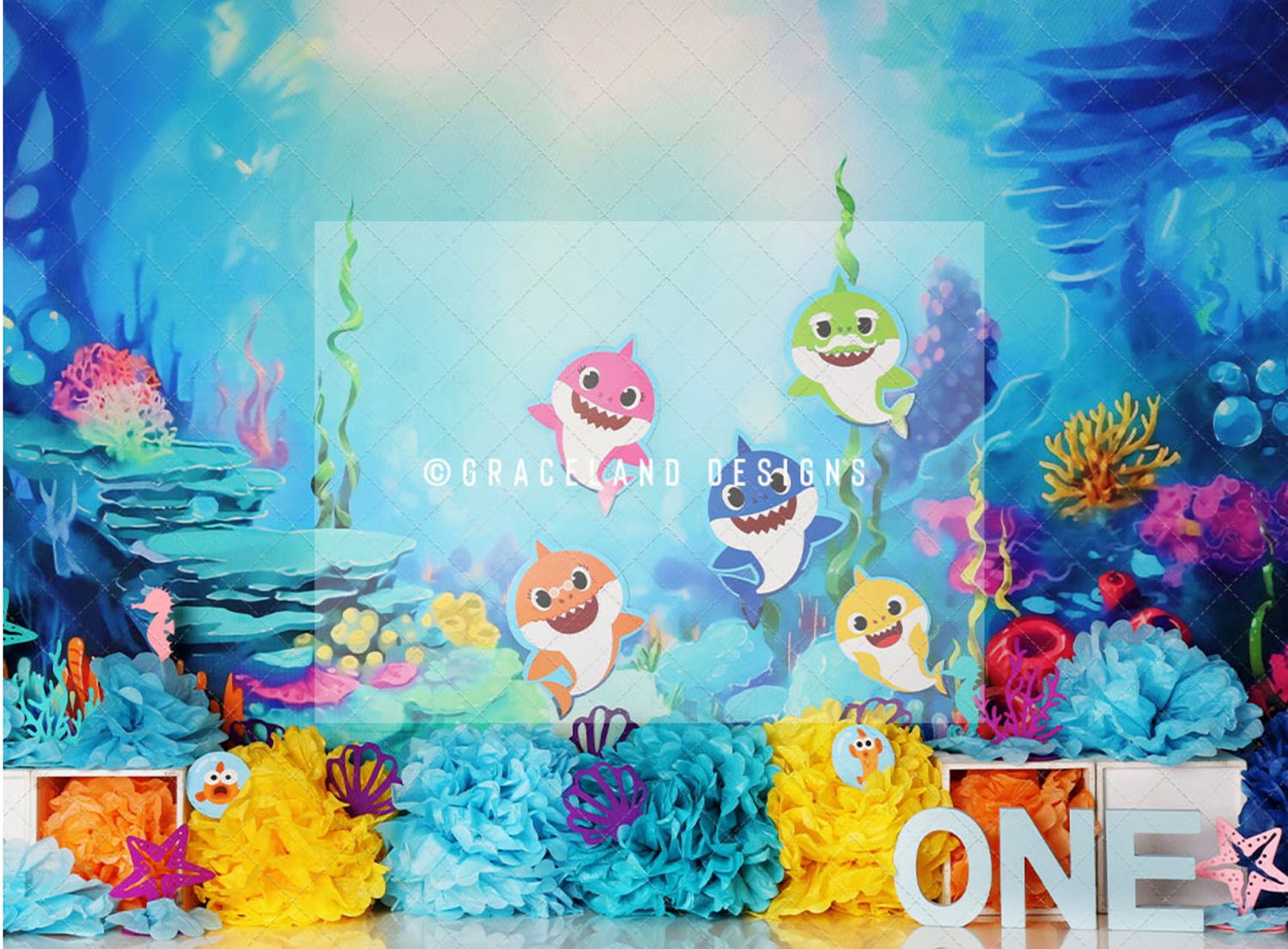 A collection of high-quality backdrops for cake smash and milestone sessions, adding creativity and fun to your photoshoot.