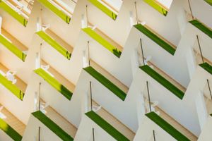 Repetitive grass in Dead Sea, Israel 2022 captured by Michelle Baum Photography