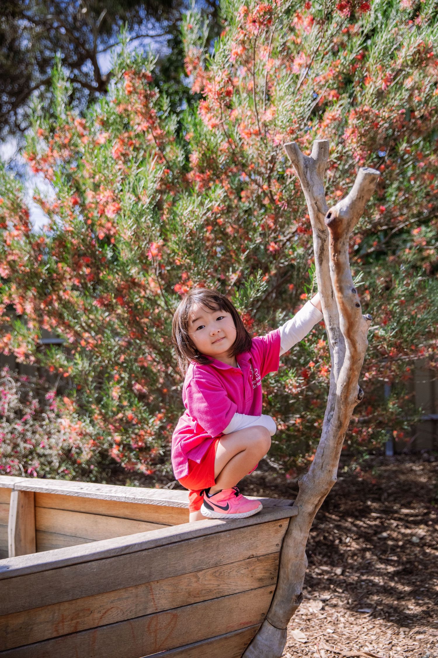 preschool photographer near me