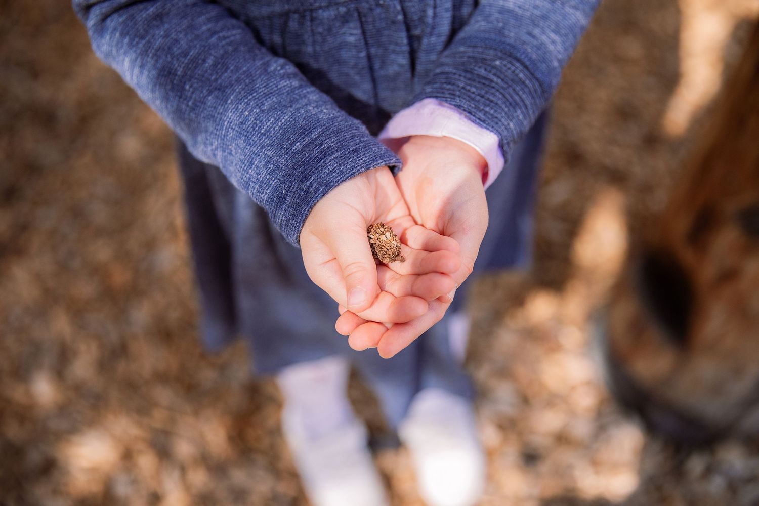 natural preschool photos