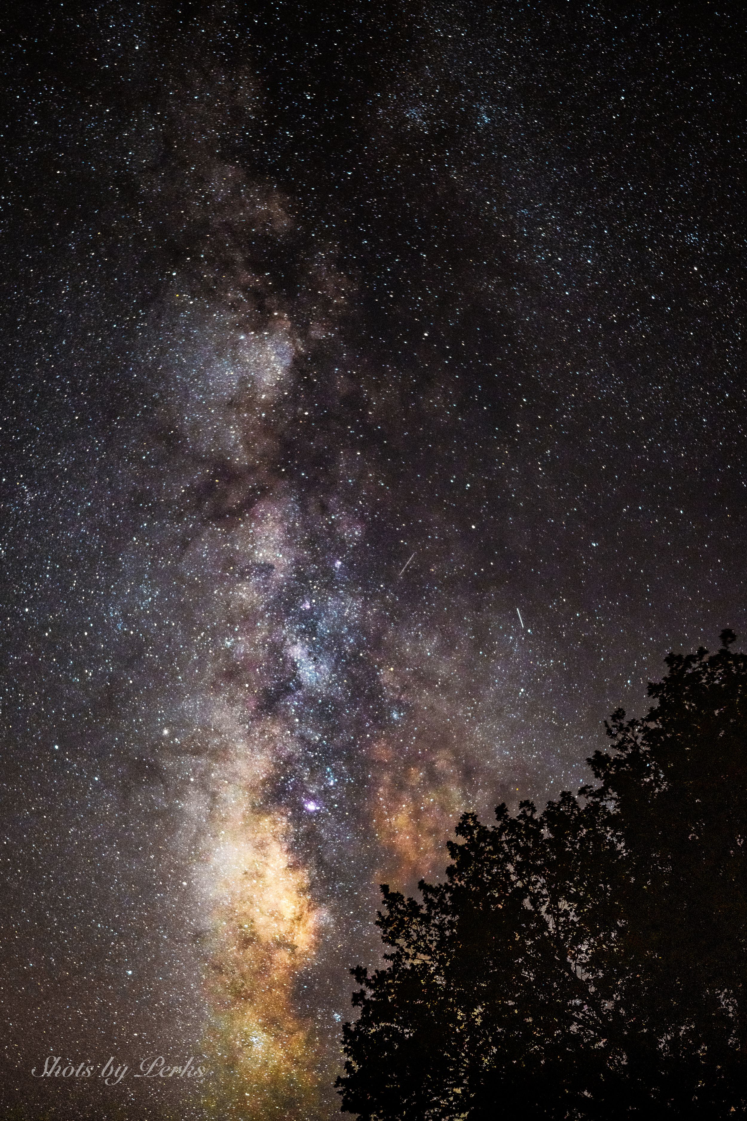 Stunning view of the Milky Way galaxy with tree silhouettes in foreground.