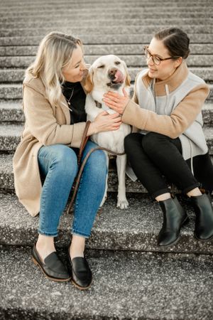 A white dog receives affection while sitting on concrete steps with two people.