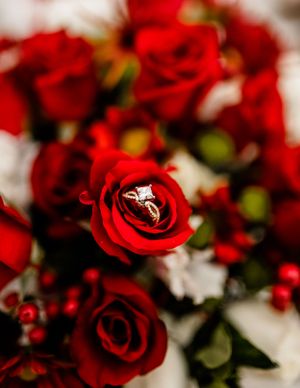 Wedding rings nestled in the center of a vibrant red rose in a romantic floral arrangement.