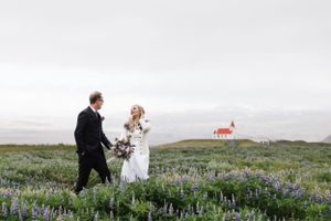Lupin fields wedding photos in Iceland