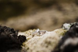 Wedding rings nestled in natural moss and stone, captured in macro detail.