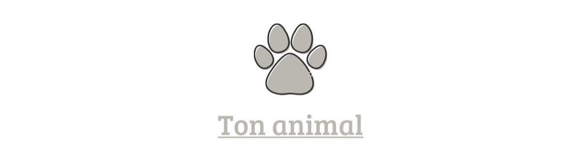 photographe animal de compagnie animaux alsace