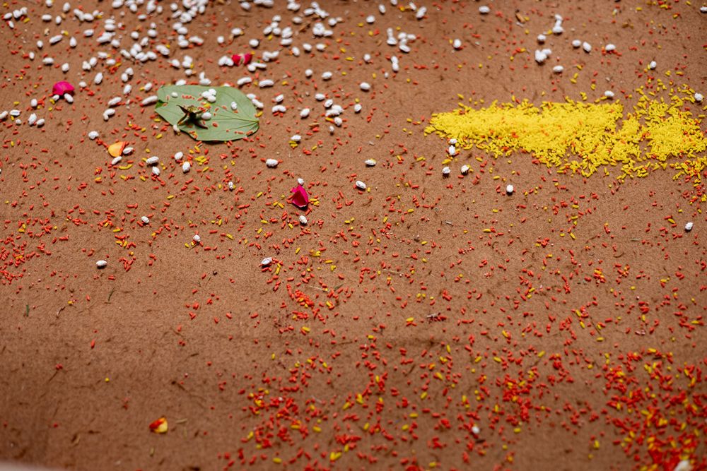 A South Indian Bengali wedding with a pet cat at Taj West End, Bengaluru