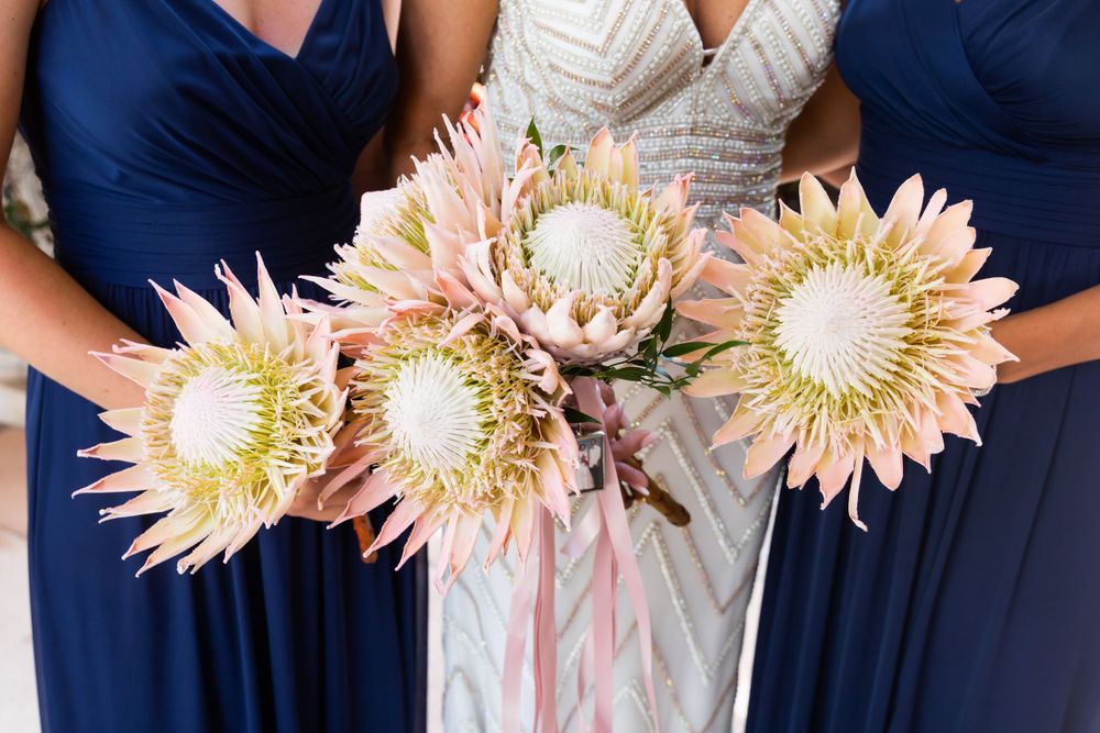 Marco beach ocean resort wedding