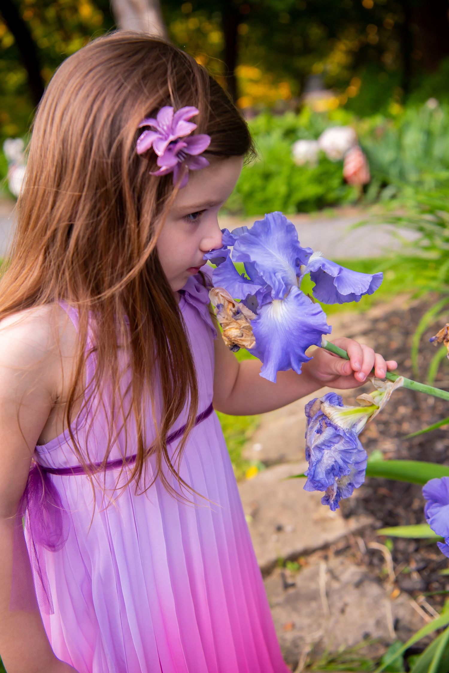 little girl smelling a purple flower in garden