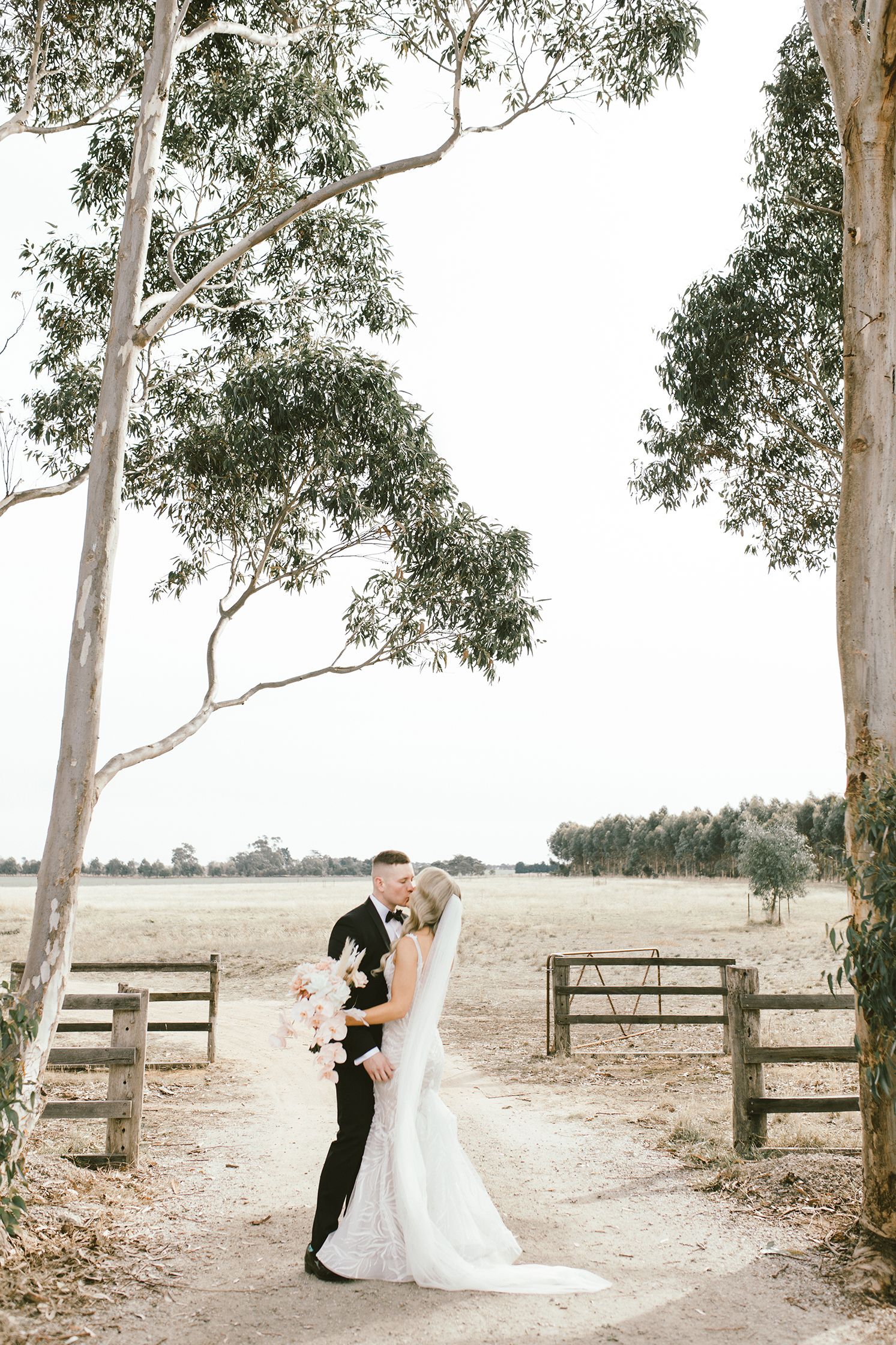 Wedding couple sharing intimate moments among eucalyptus trees and wooden fences.