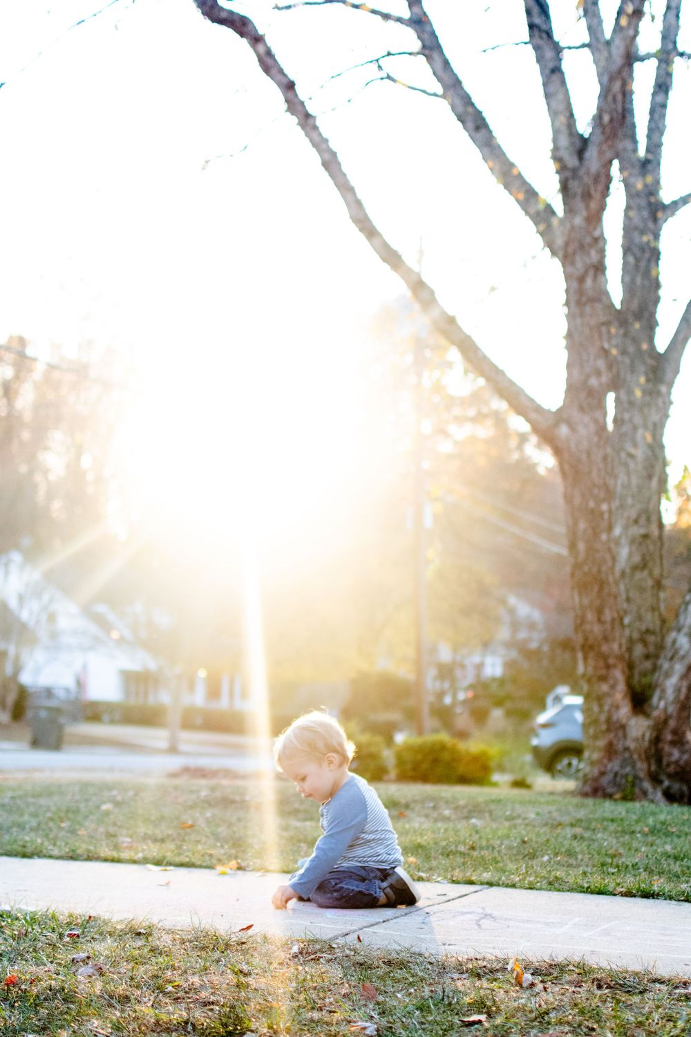 A small child sits on a sidewalk at sunset with golden sunlight streaming through bare tree branches.