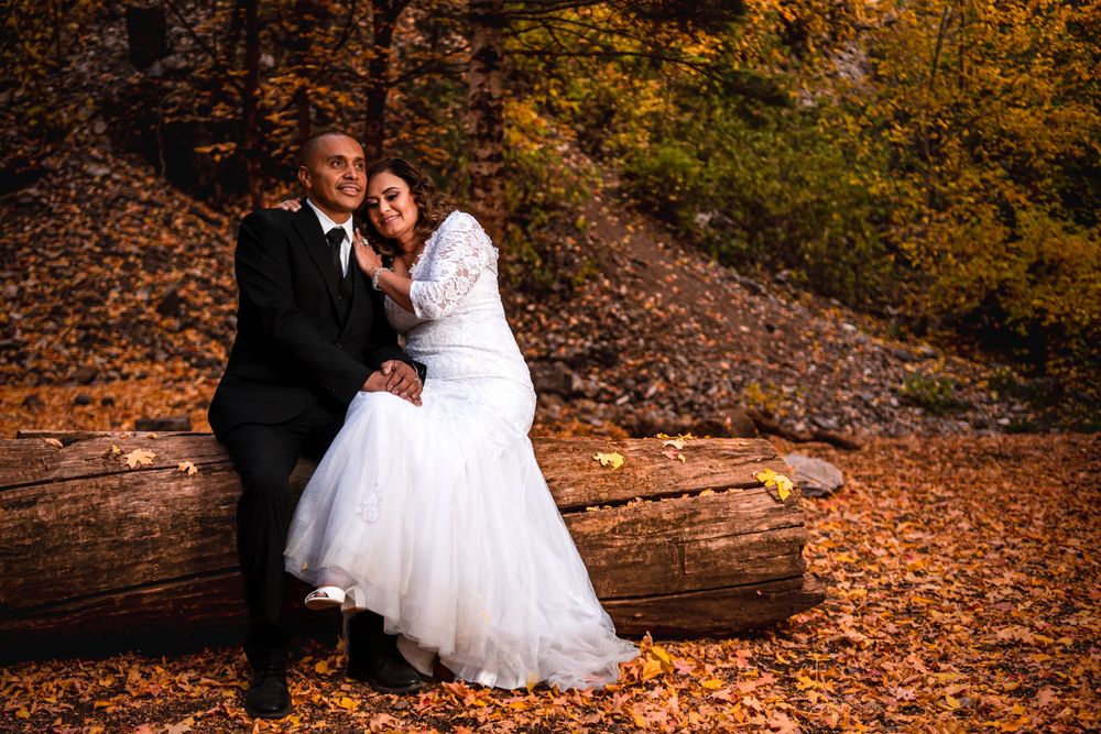 A bride and groom sit romantically on a fallen log surrounded by vibrant autumn foliage in a forest setting.