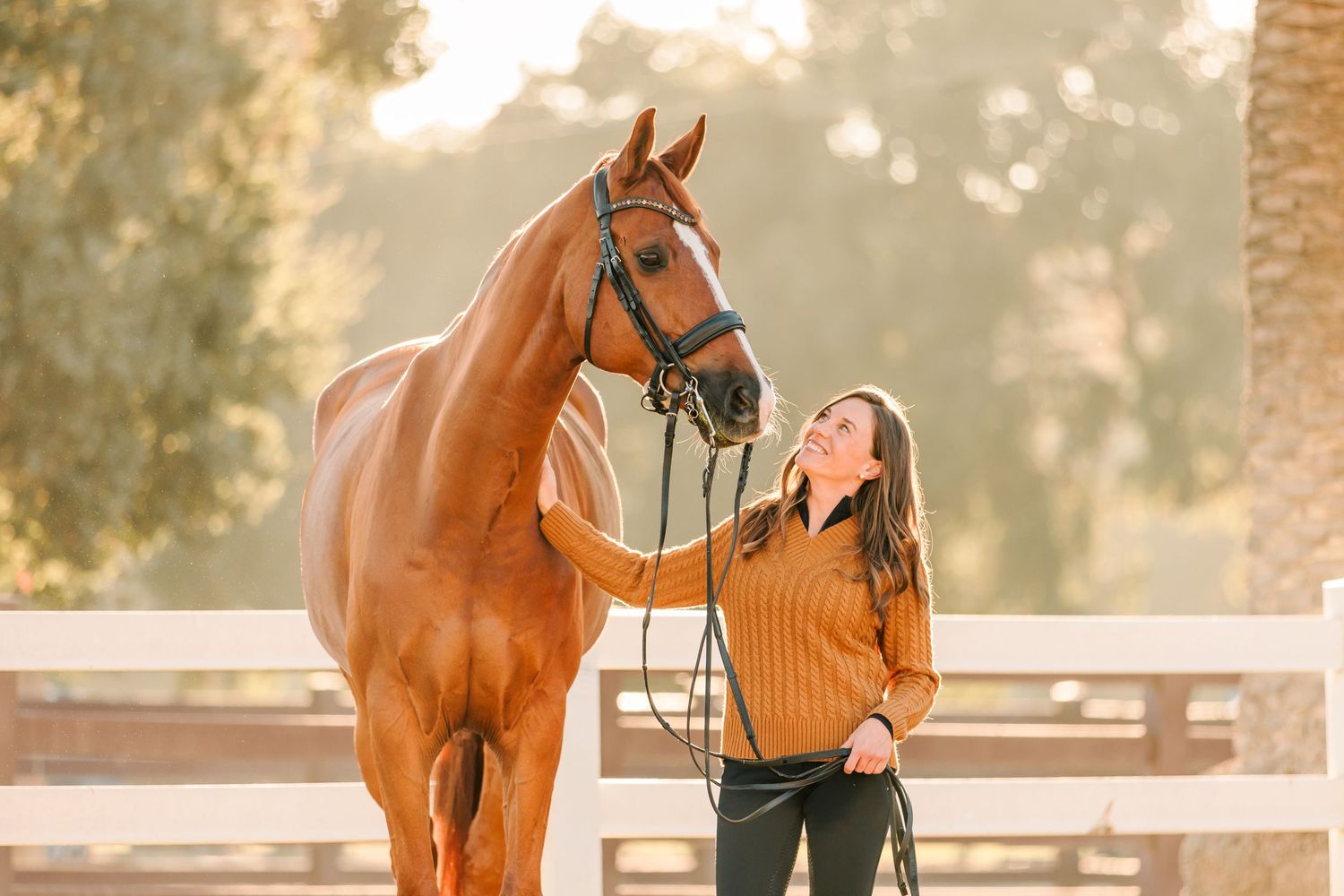 Brown horse and rider in orange sweater share affectionate moment in sunlit equestrian setting.