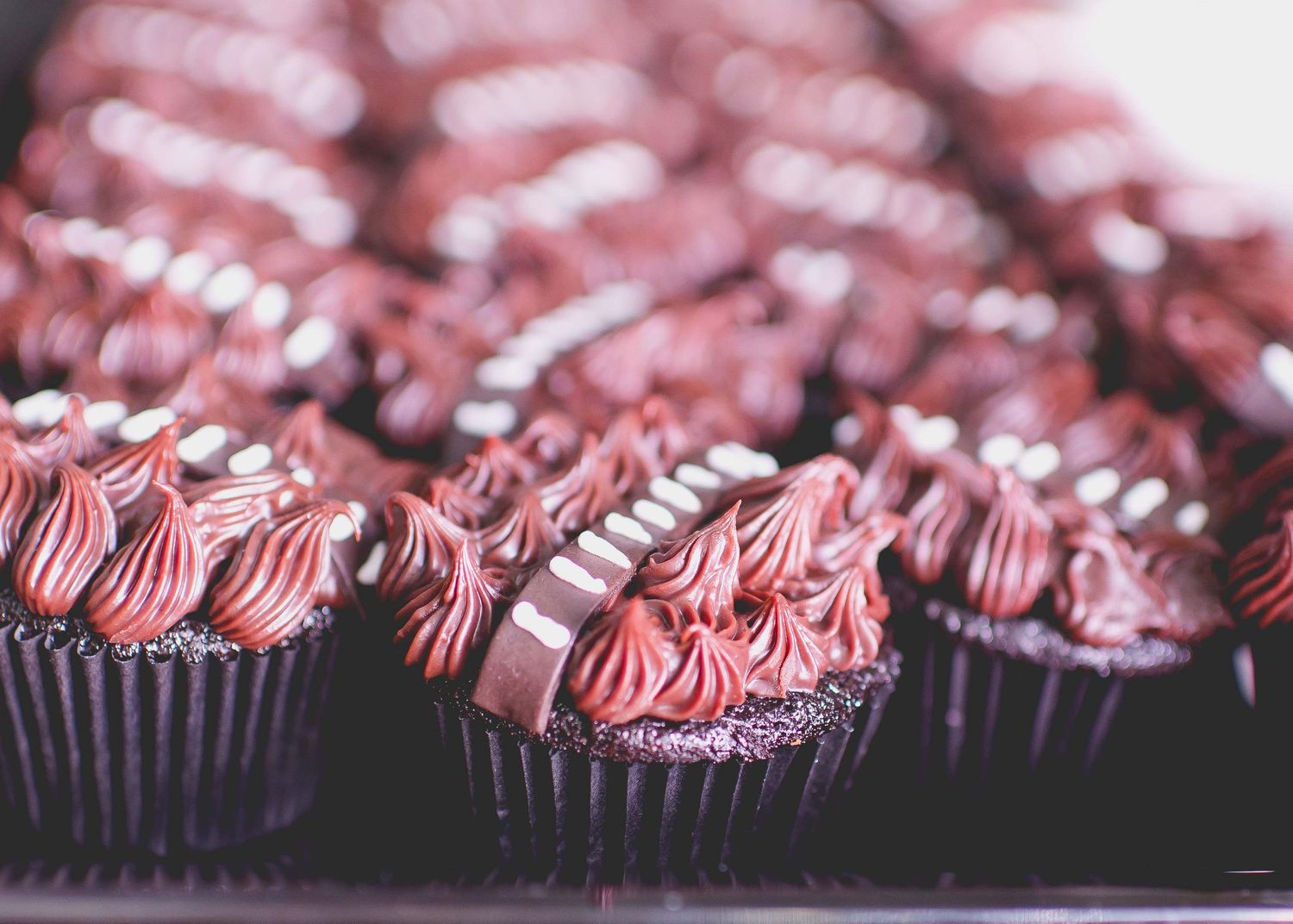 chocolate chewbacca cupcakes for a three year old birthday star wars theme party