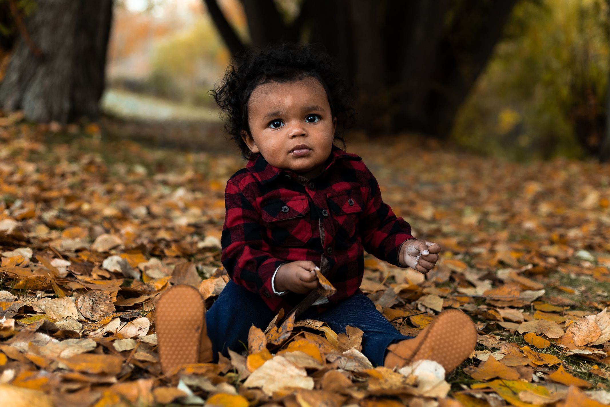 Toddler sitting in leaves at Fish Creek Park in the fall with yellow and orange leaves.