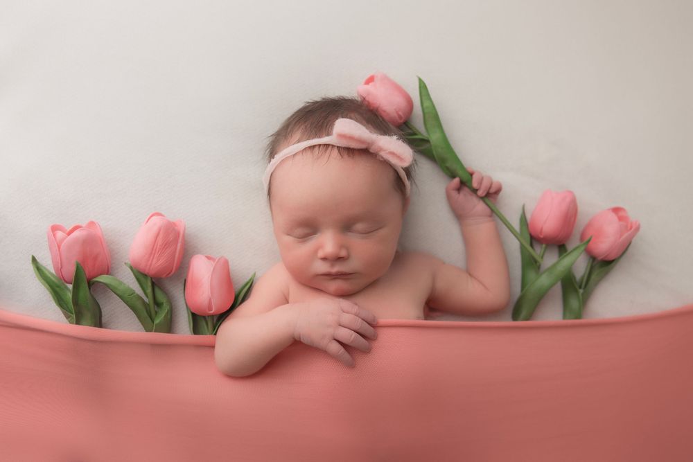 Newborn photography setup with pink tulips and coral fabric backdrop.